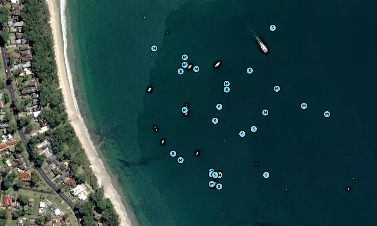Satelite image of Vincentia