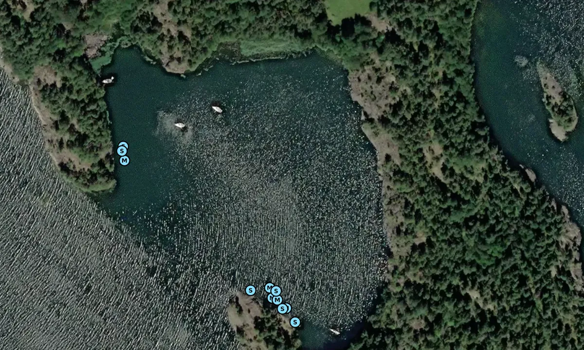 Satelite image of Vinökalv