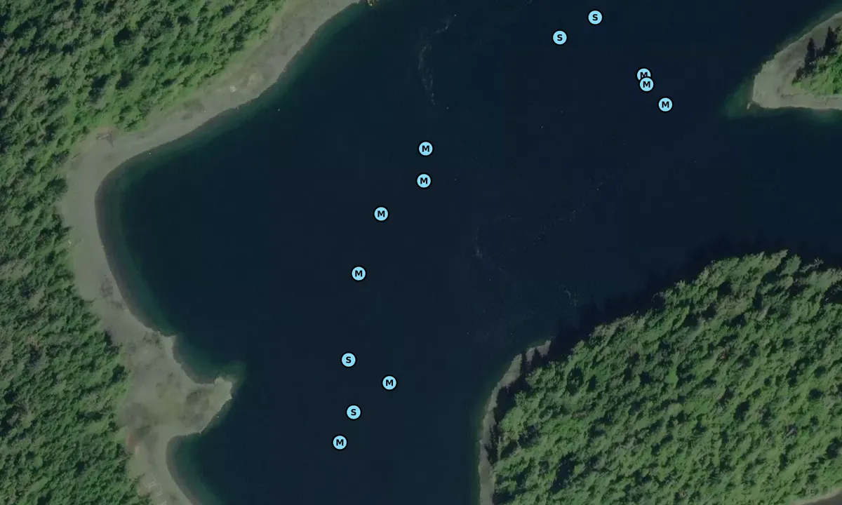 Satelite image of Vixen Harbor