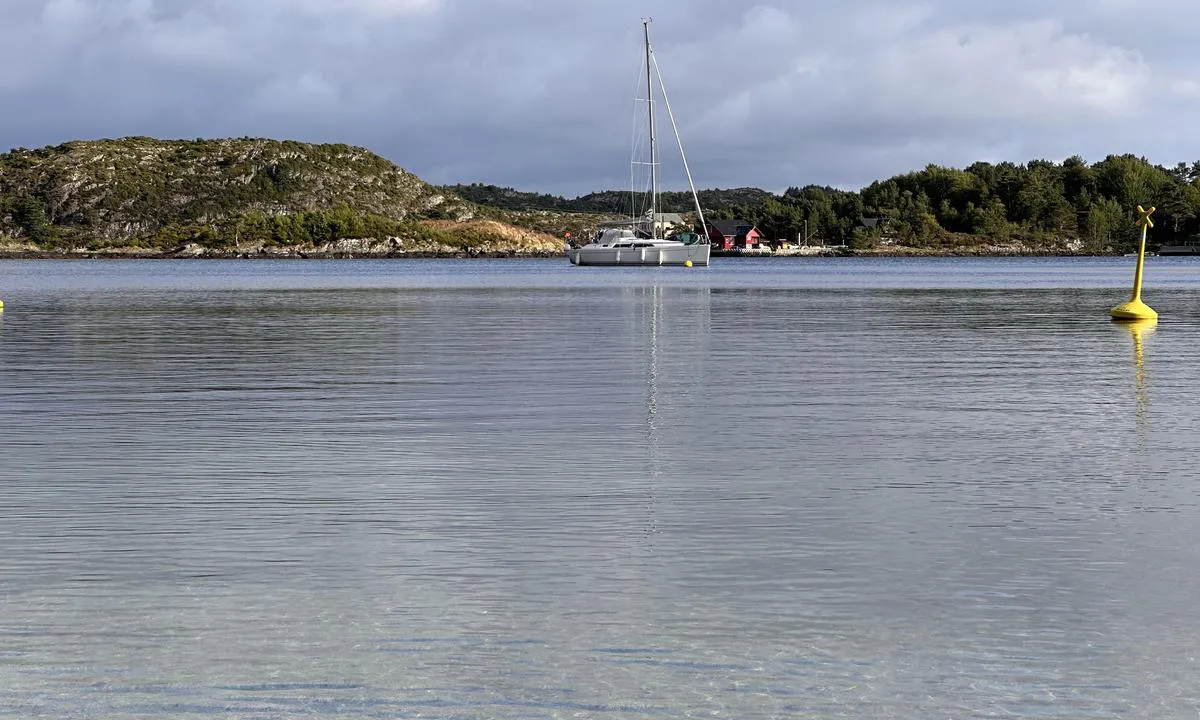 Vorlandsvågen: Flytebrygge med god dybde. I tillegg to bøyer for å ligge på svai.