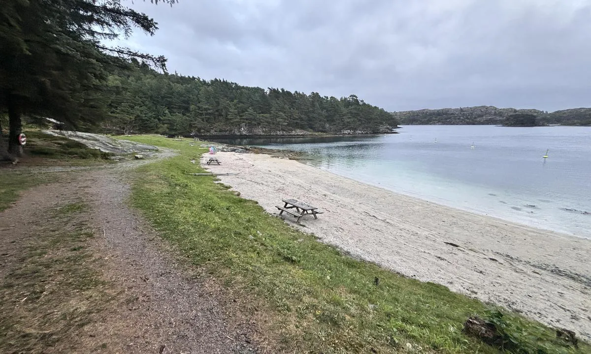 Vorlandsvågen