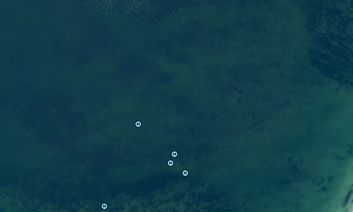 Satelite image of Vornæs Skov bouy