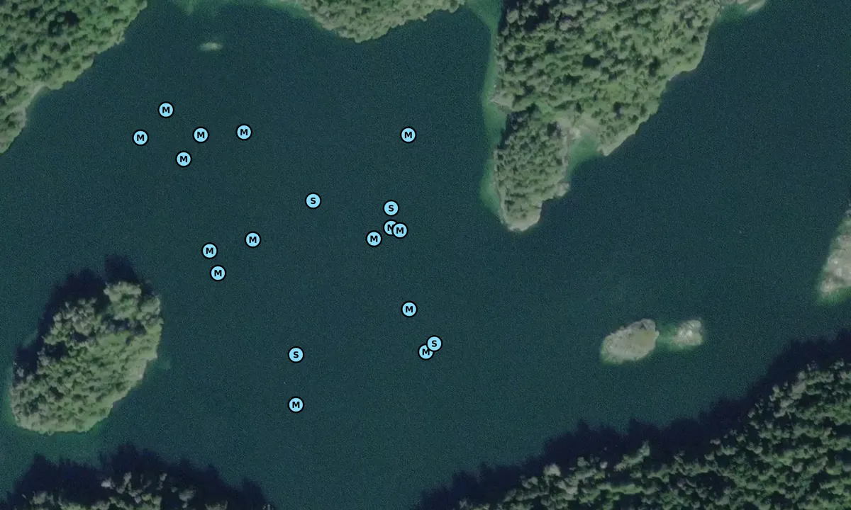 Satelite image of Waddington Bay