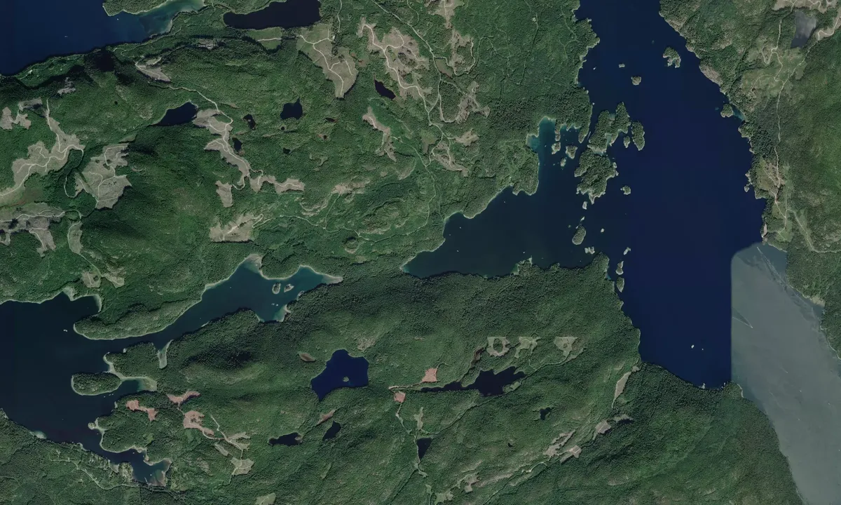 Flyfoto av Waiatt Bay