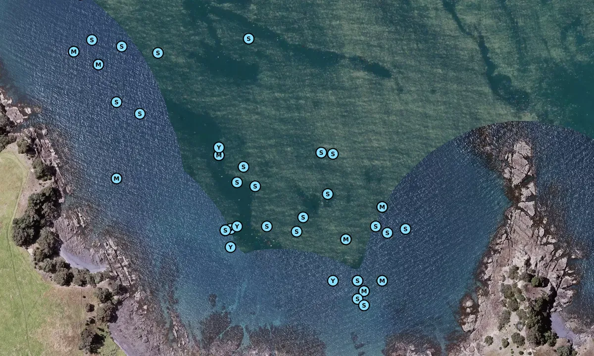 Satelite image of Waikalabubu Bay - Waiheke Island