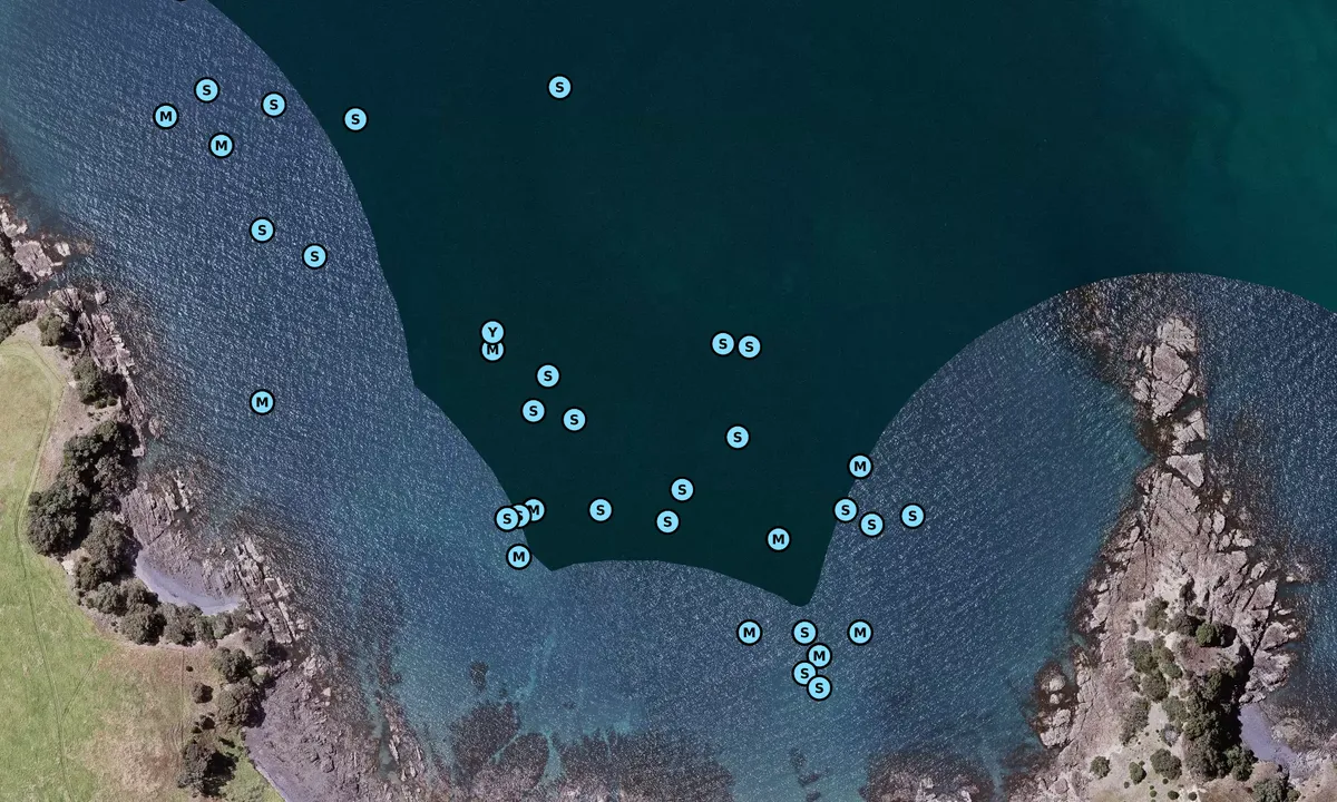 Flyfoto av Waikalabubu Bay - Waiheke Island