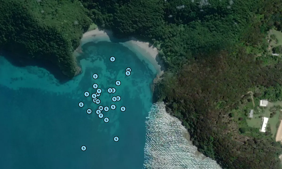 Satelite image of Waipao Bay