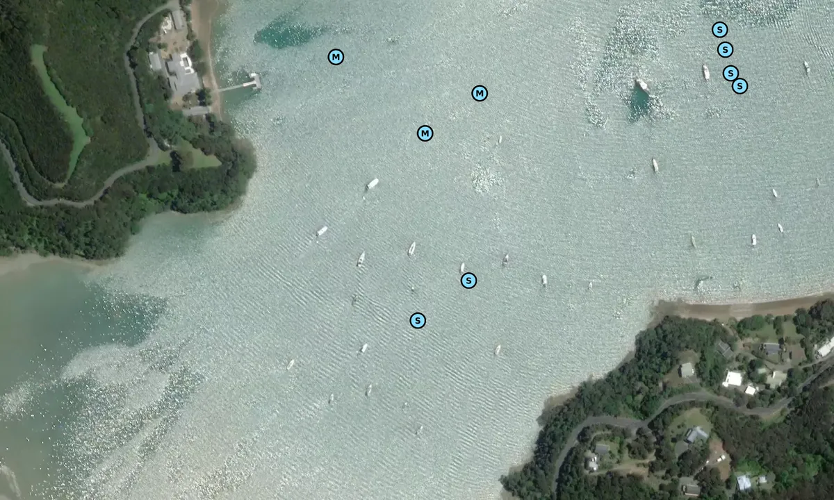 Satelite image of Waipiro Bay