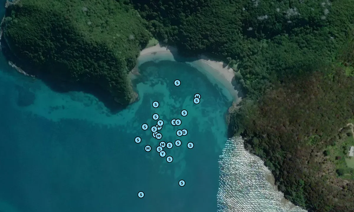 Satelite image of Waipoa Bay