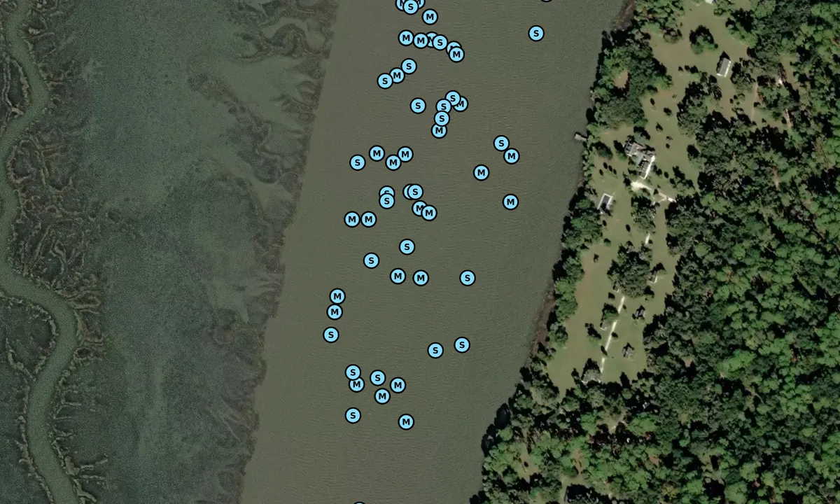 Satelite image of Walburg Creek - 2
