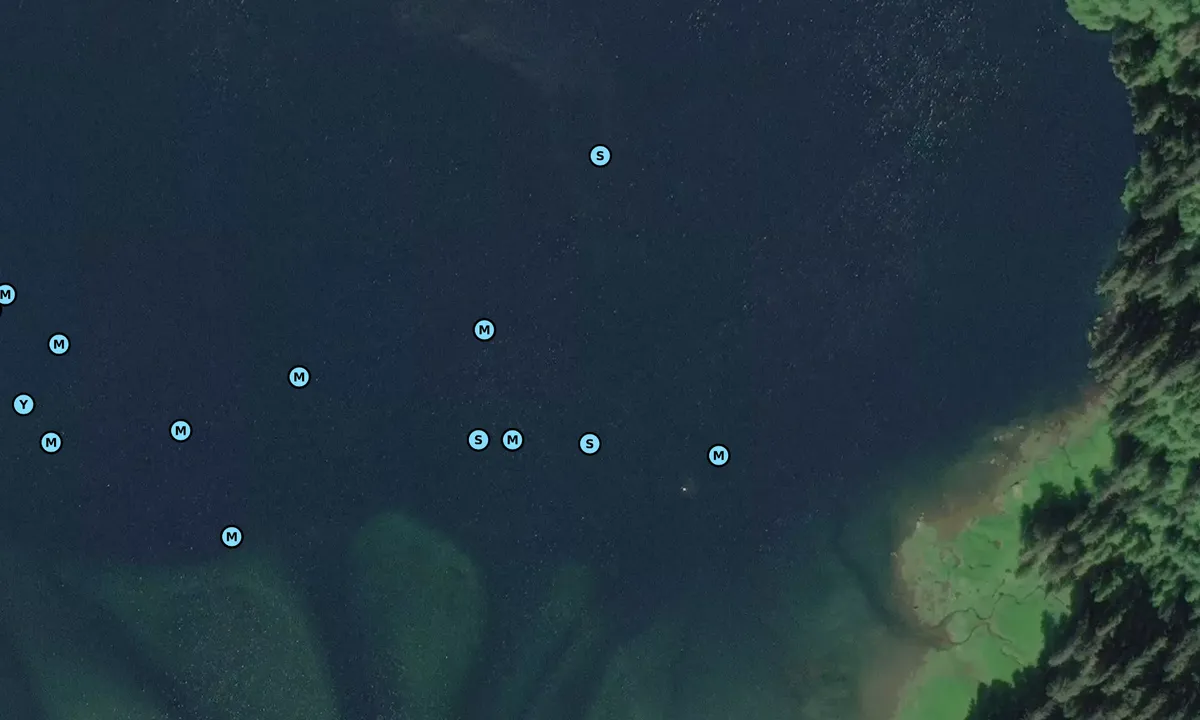 Satelite image of Walker Cove