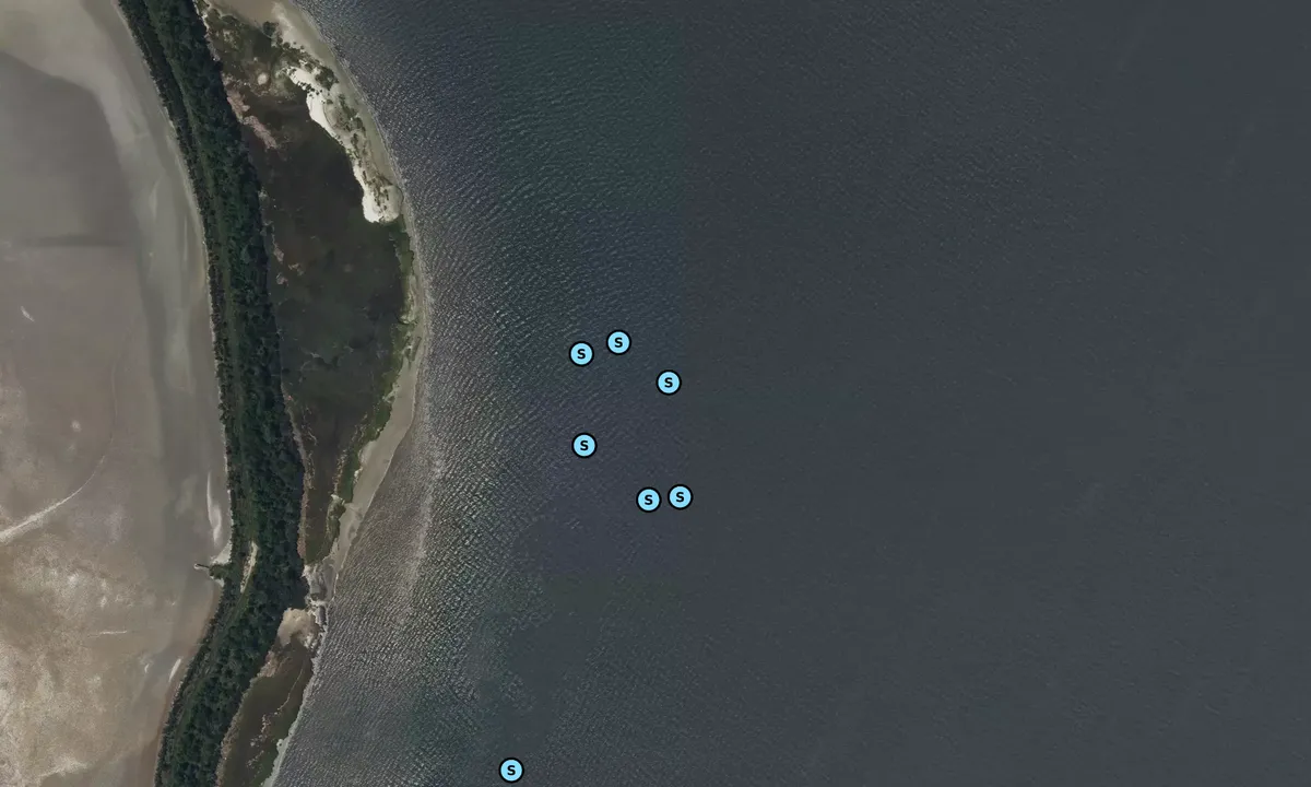 Satelite image of Wando River 1