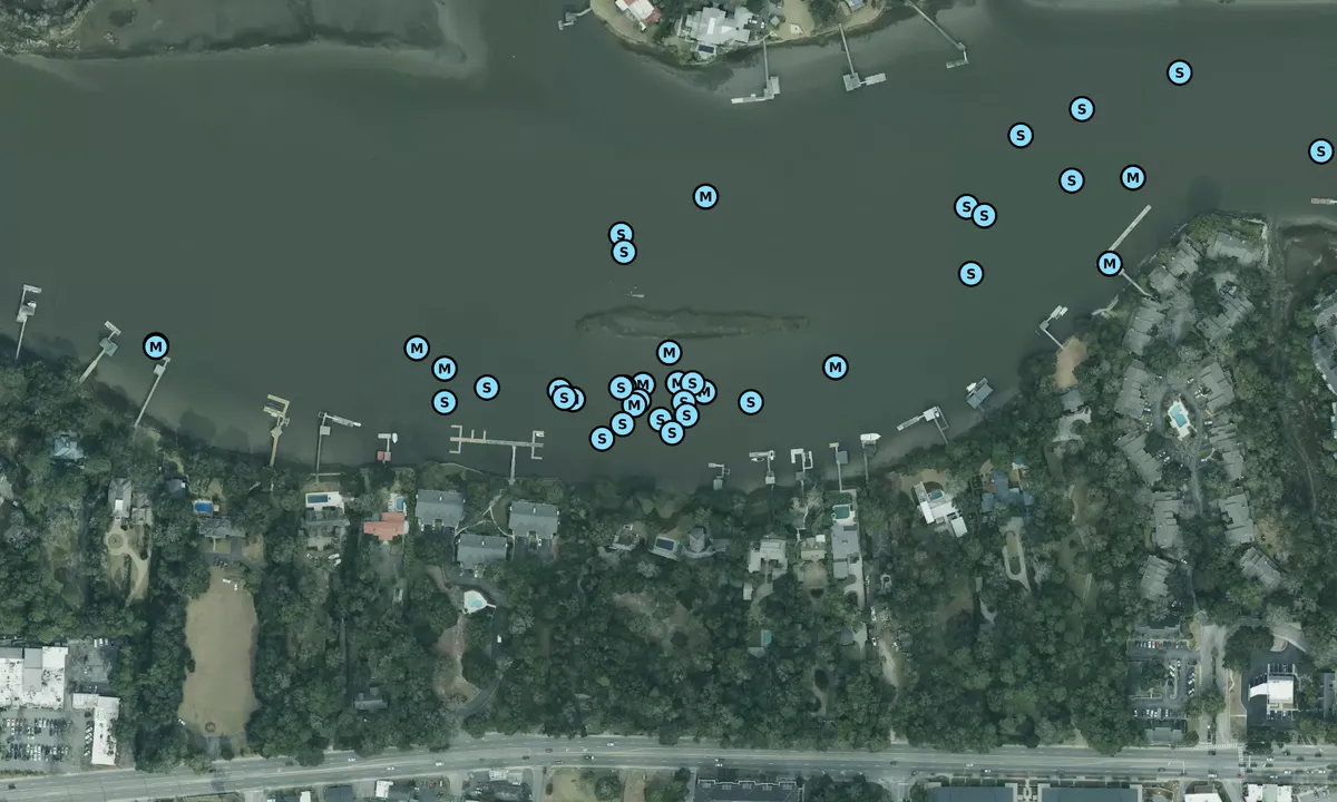 Satelite image of Wappoo Creek