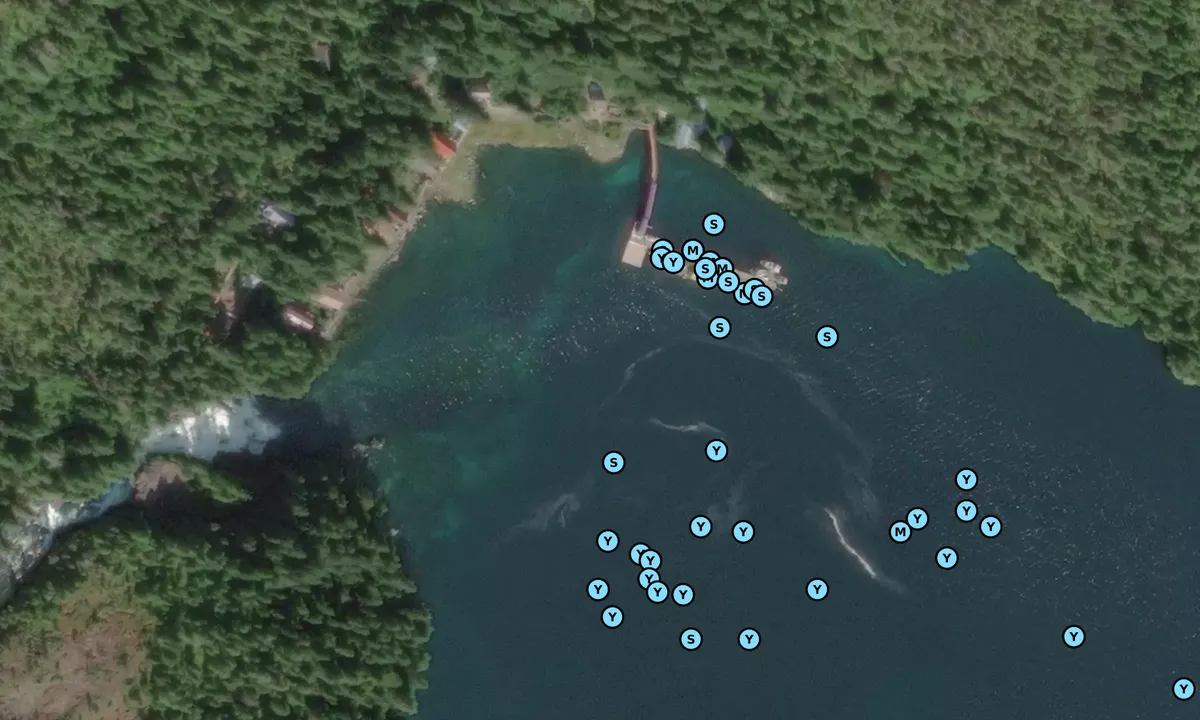 Satelite image of Warm Springs Bay Float - Fee Required