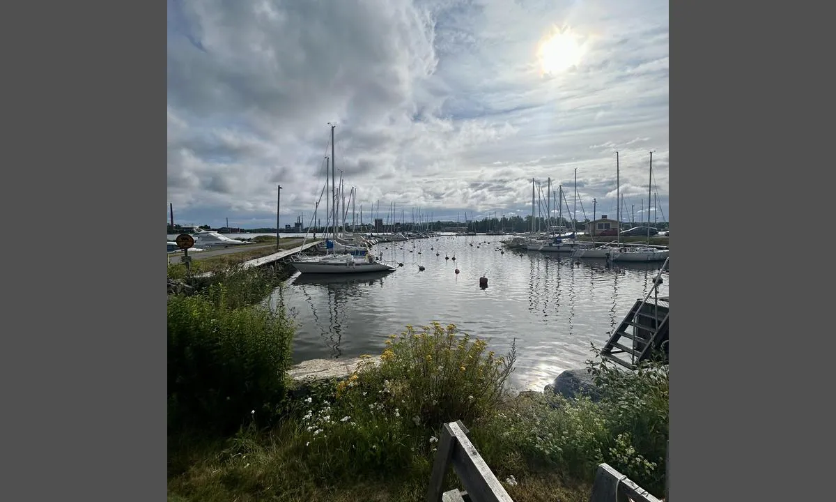 Wasa Segelförening