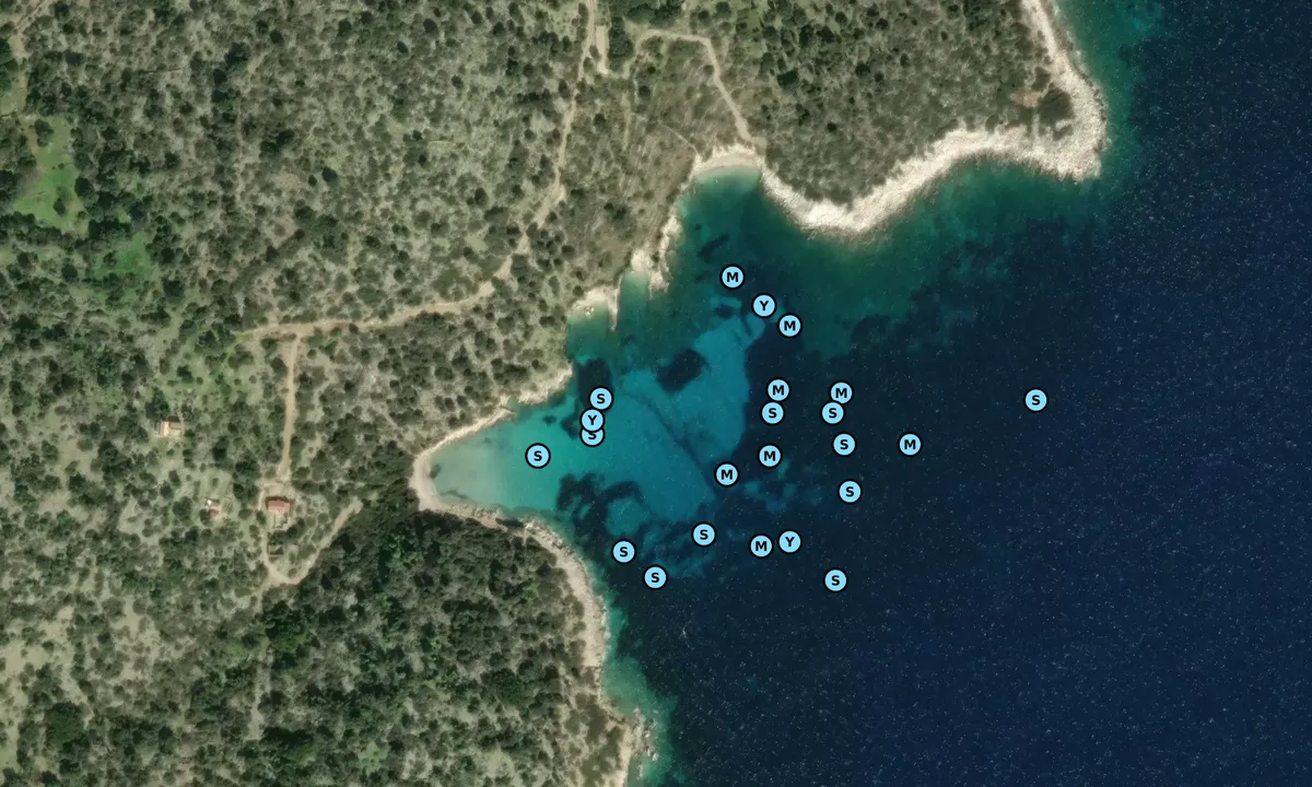 Satelite image of Wasp Bay
