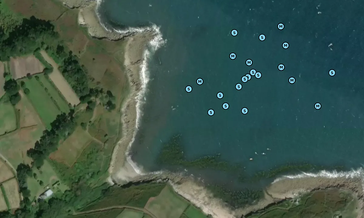 Satelite image of Watermill Cove