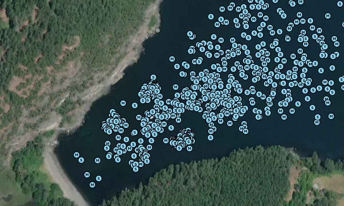 Satelite image of Watmough Bay