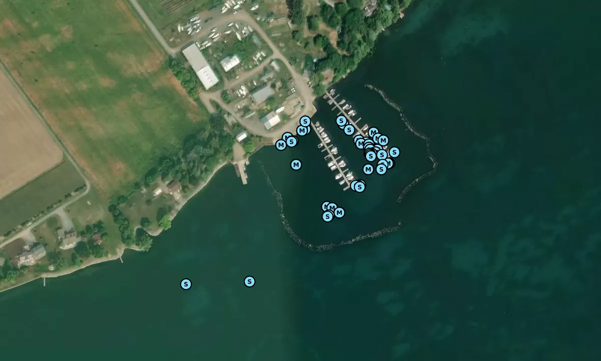 Satelite image of Waupoos Marina