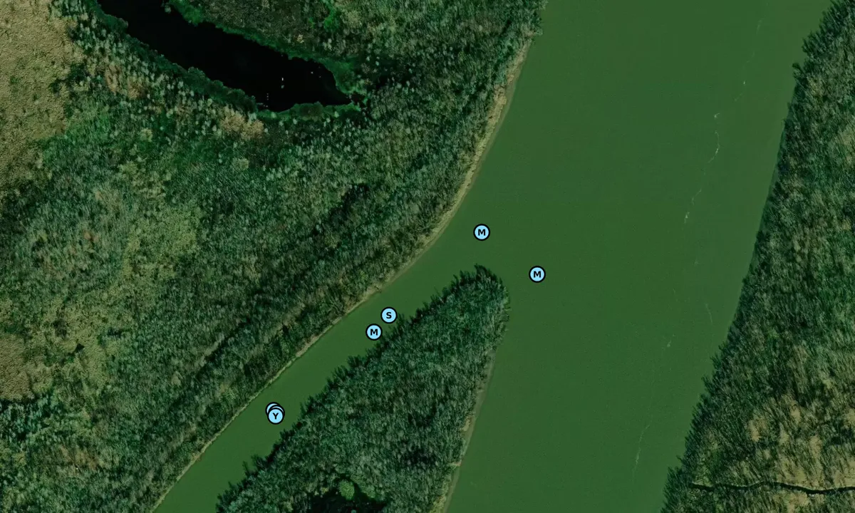 Satelite image of Wax Lake Outlet