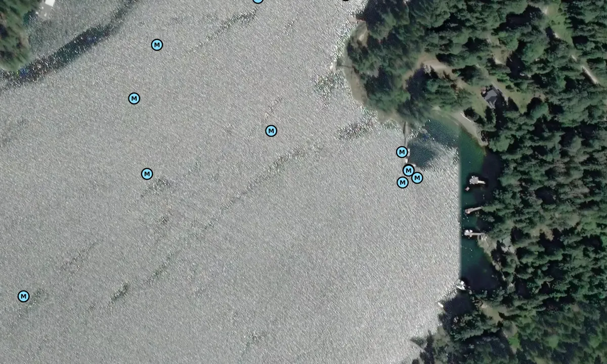 Satelite image of West Bay - Gambier Island