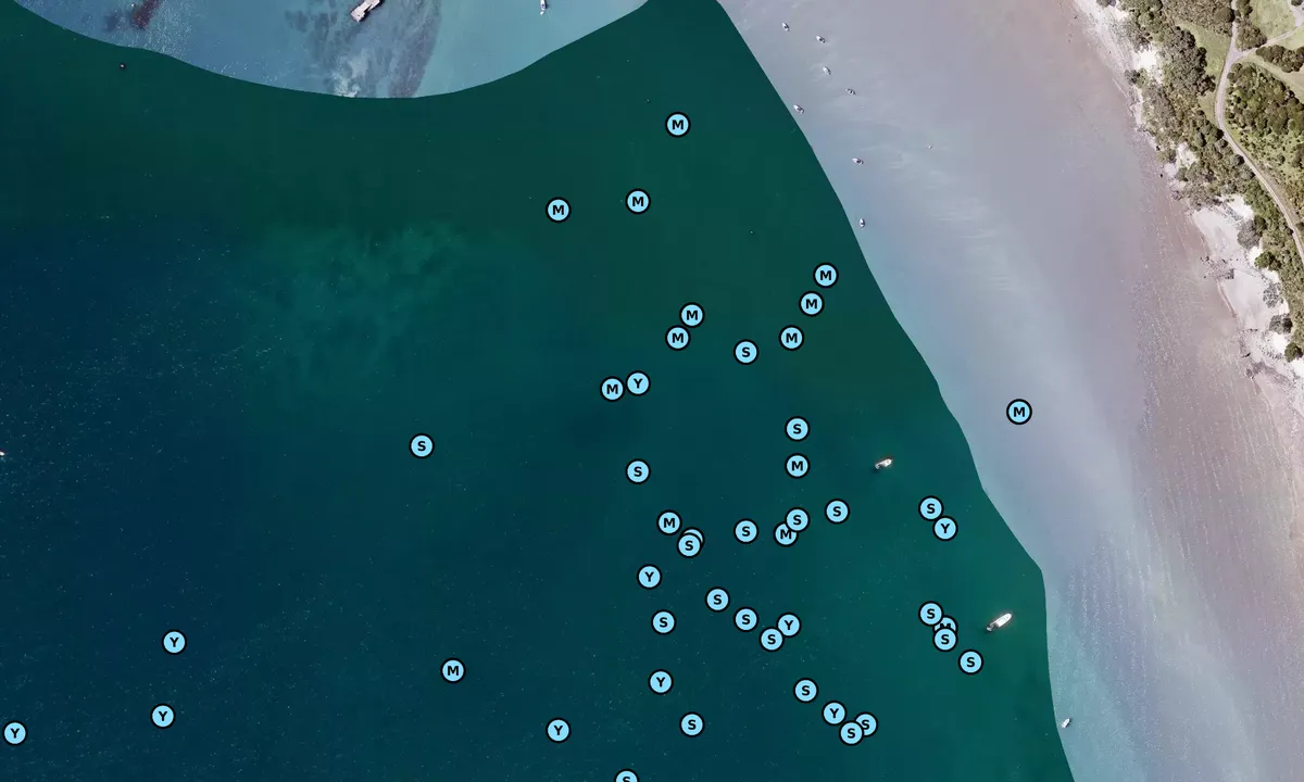 Satelite image of West Bay Motuihe