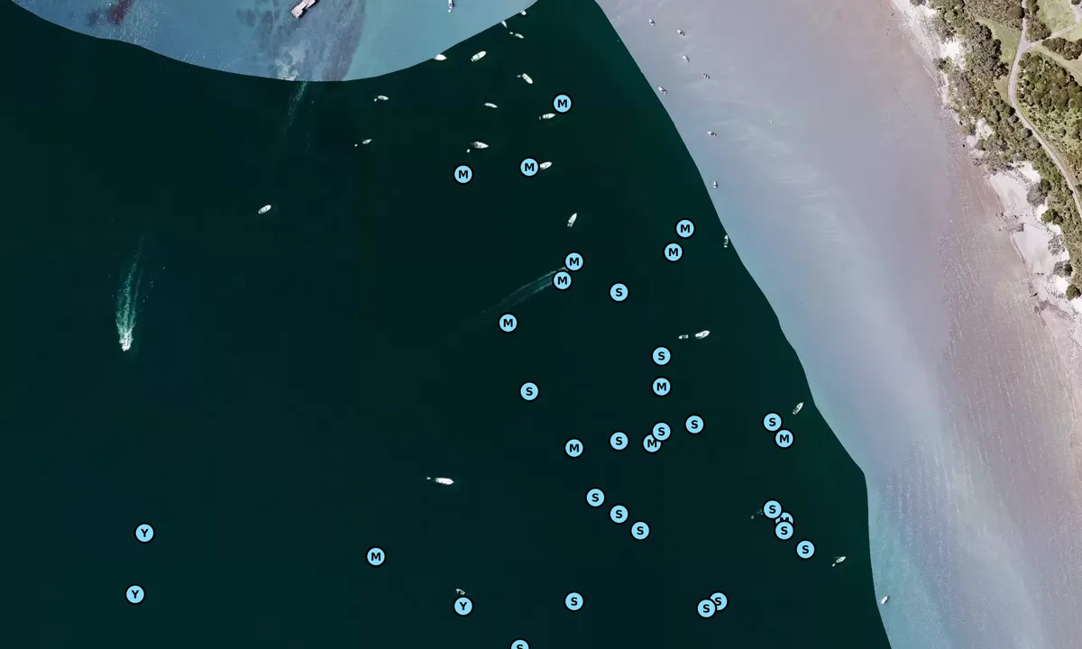 Flyfoto av West Bay Motuihe