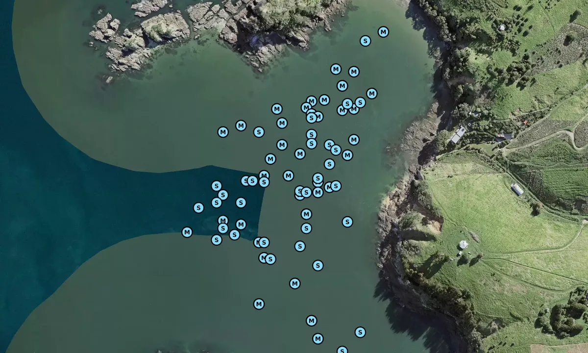 Flyfoto av West Bay - Waiheke Island