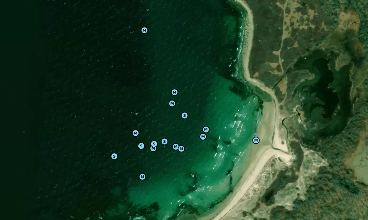 Satelite image of West Beach