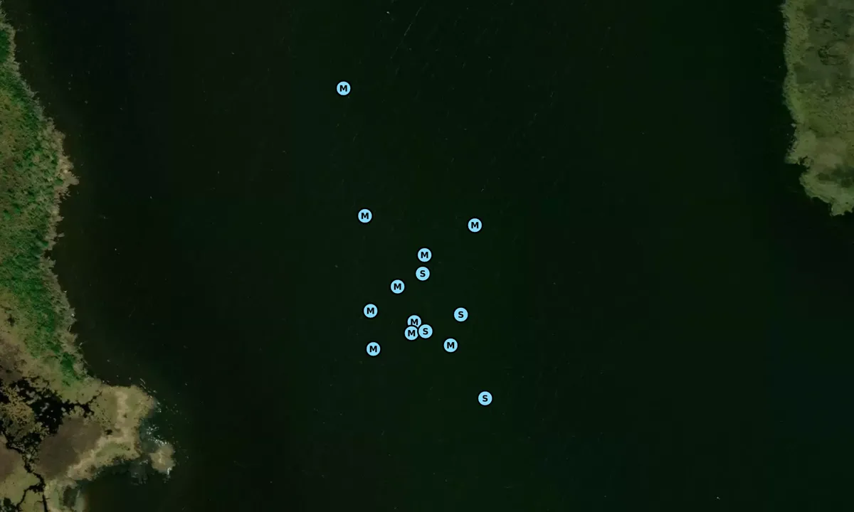 Satelite image of West Buck Island
