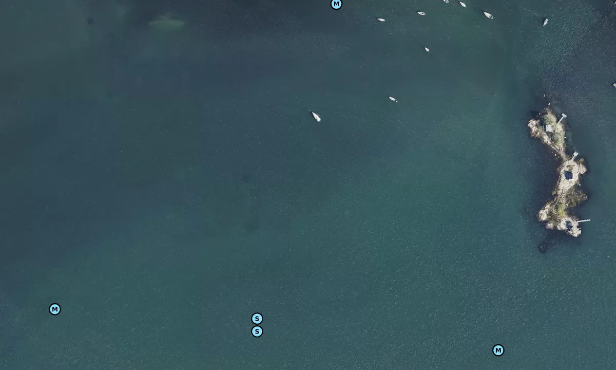 Satelite image of West Cove