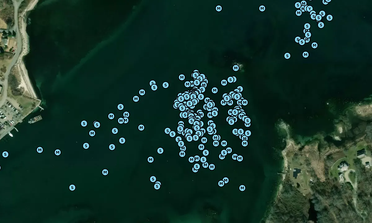 Satelite image of West Harbor (Moorings)