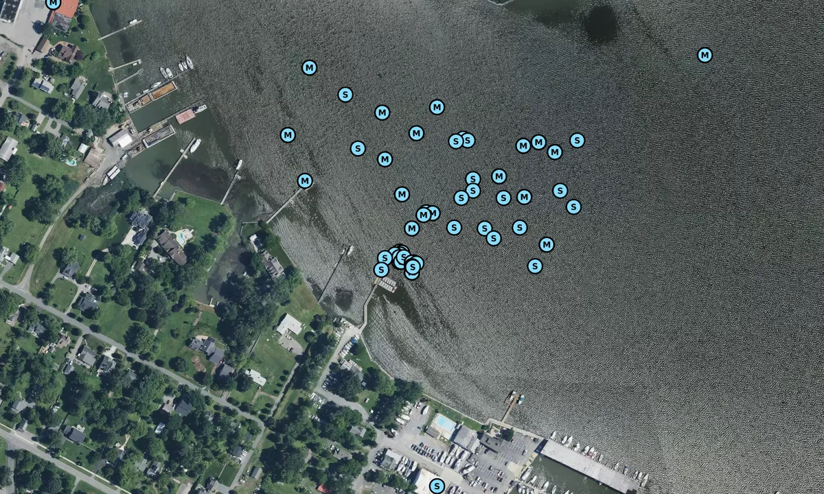 Satelite image of West River Sailing Club