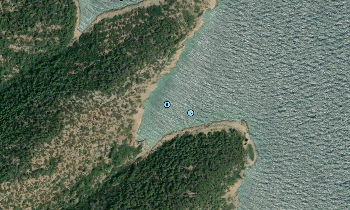 Satelite image of Western Cove