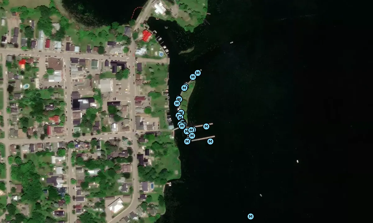 Satelite image of Westport Harbour