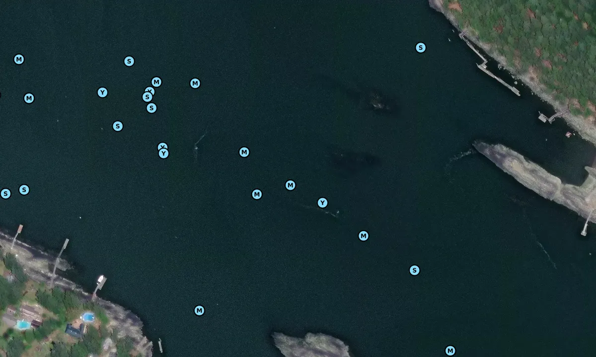 Satelite image of Whaler Bay