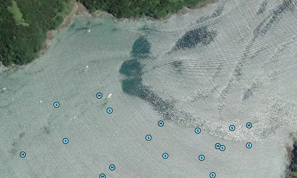 Satelite image of Whangamumu Harbour