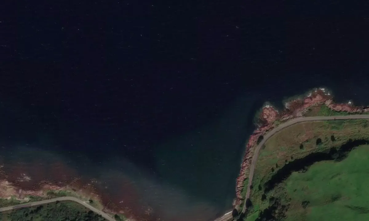 Flyfoto av White Bay 1
