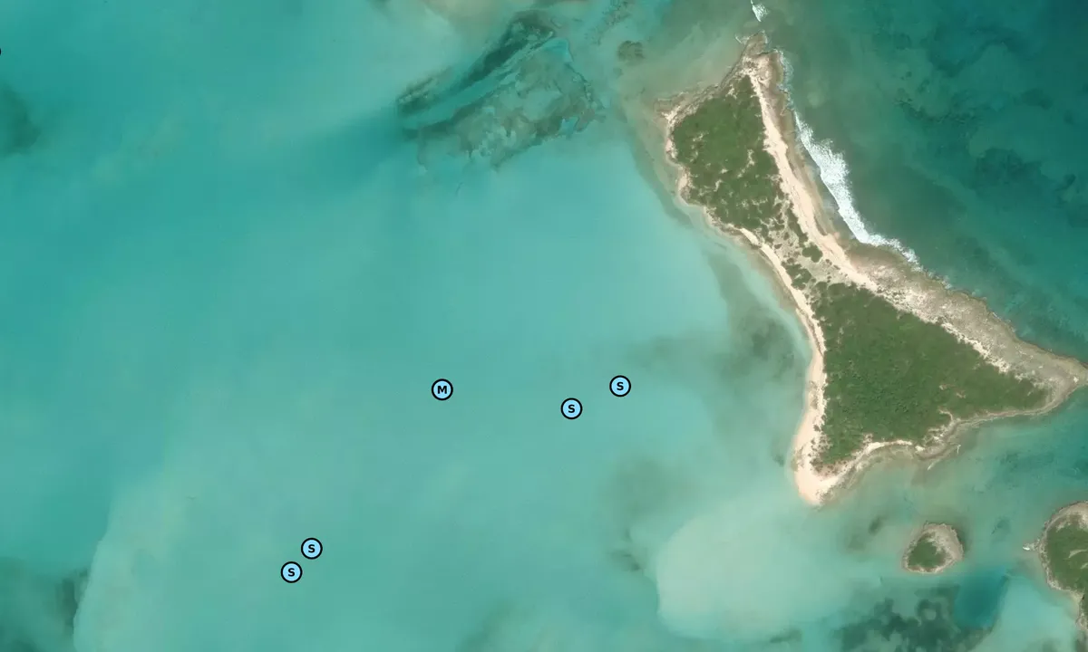 Satelite image of White Bay Cay 1