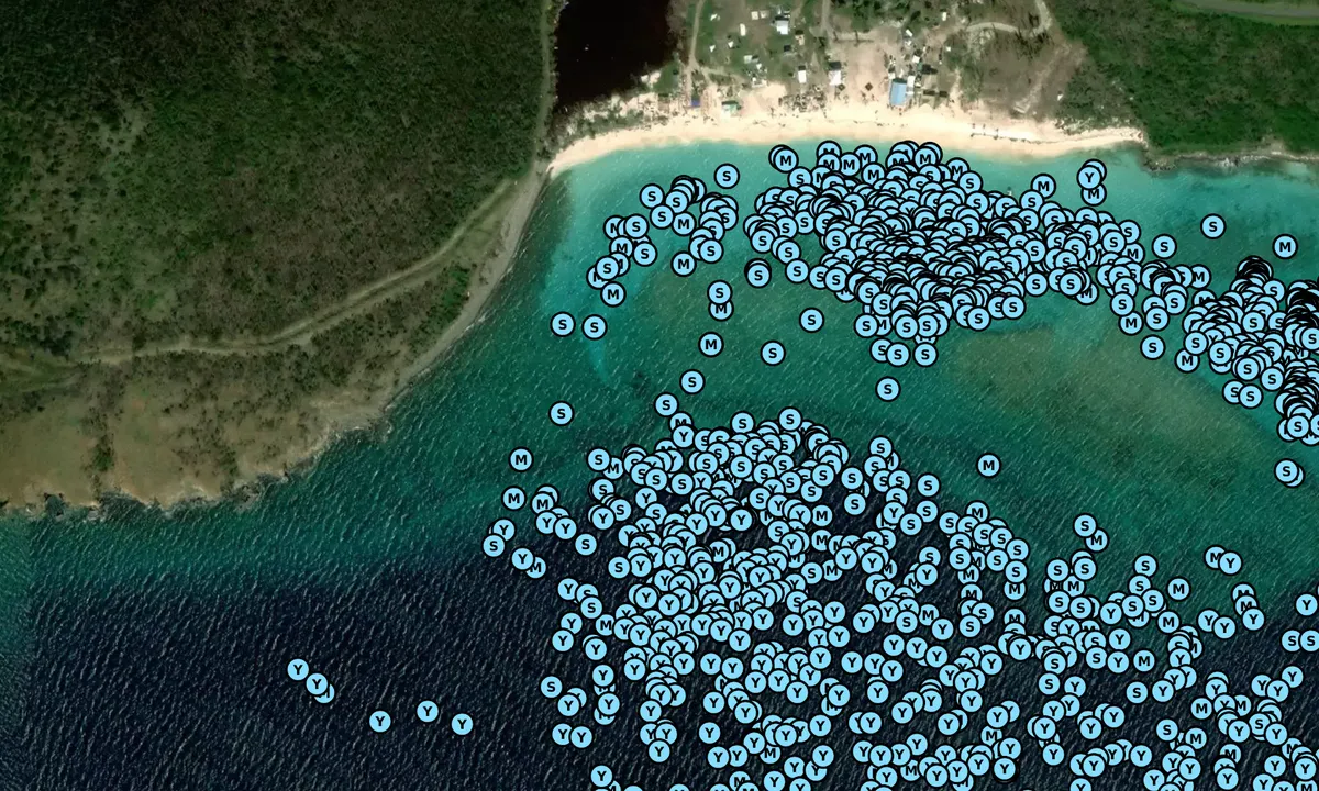 Satelite image of White Bay - Jost Van Dyke