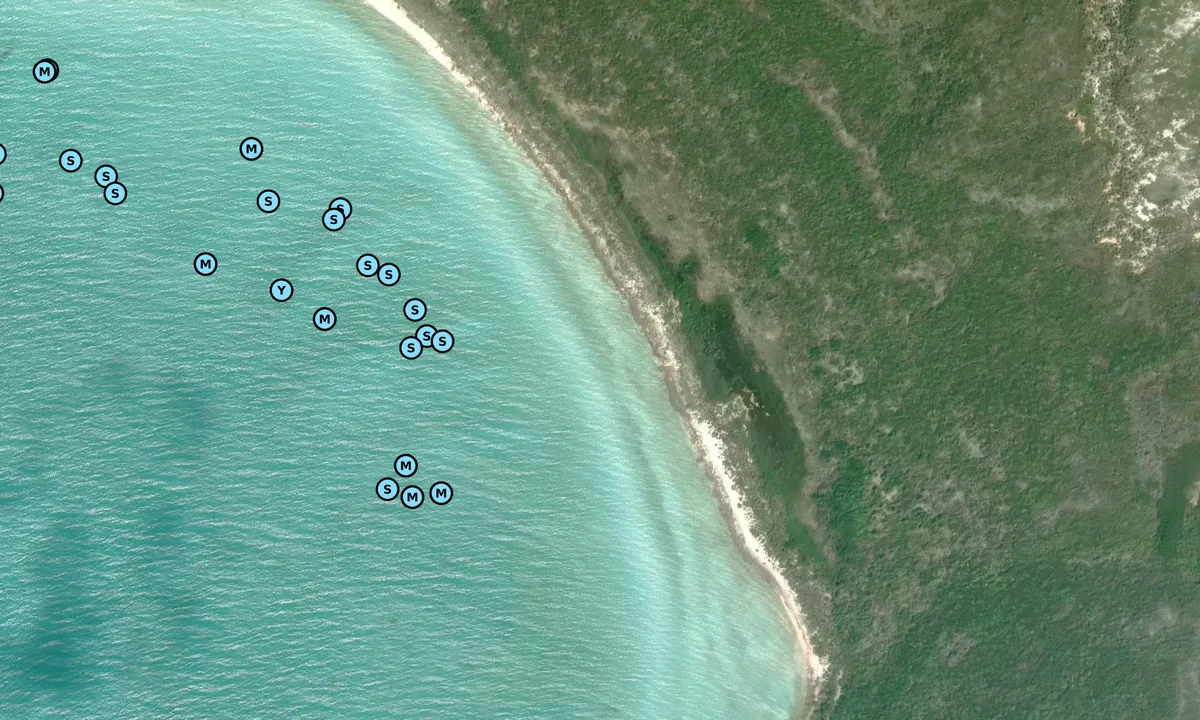 Satelite image of White Point