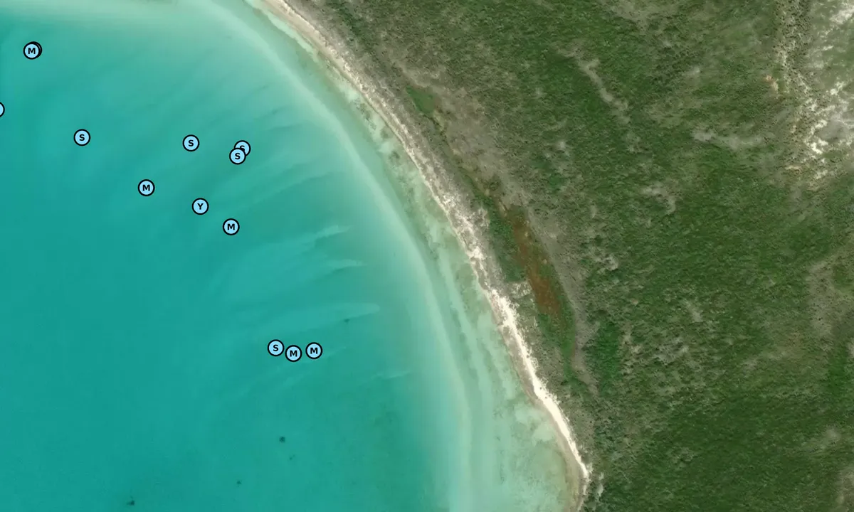 Satelite image of White Point