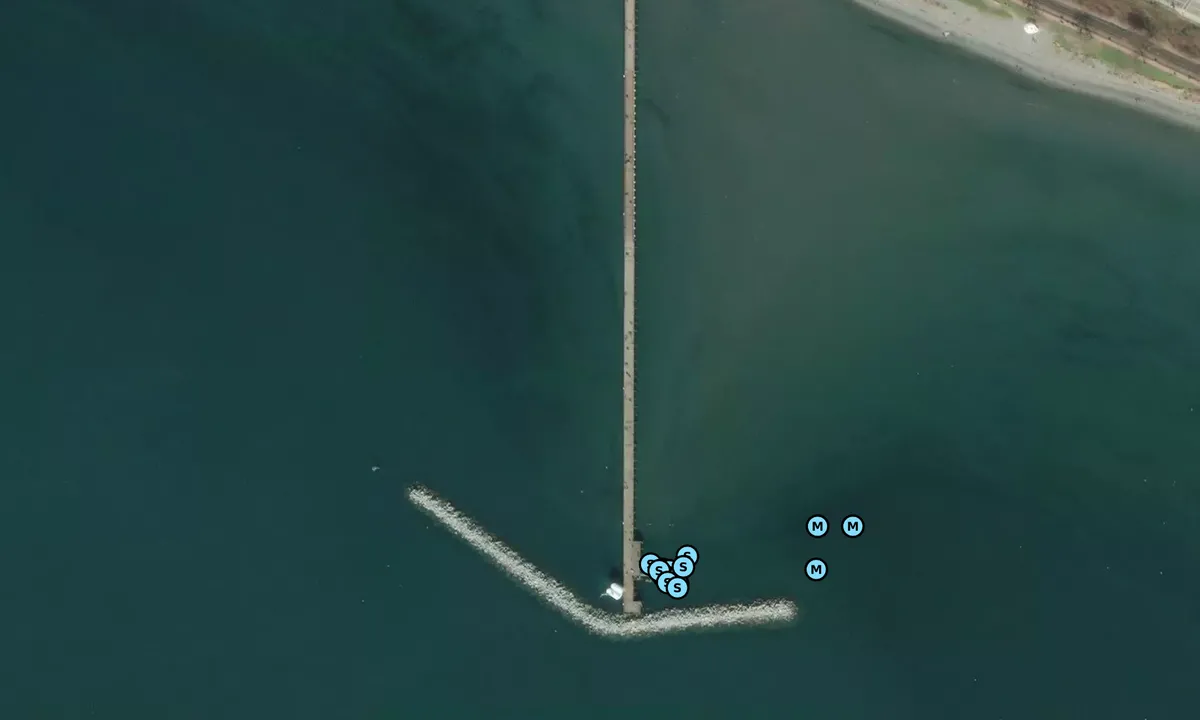 Satelite image of White Rock Pier