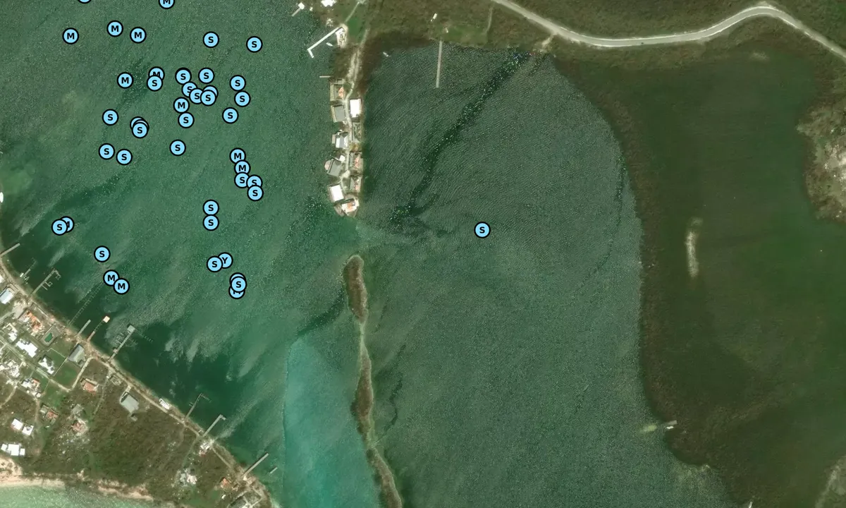 Satelite image of White Sound Mangroves