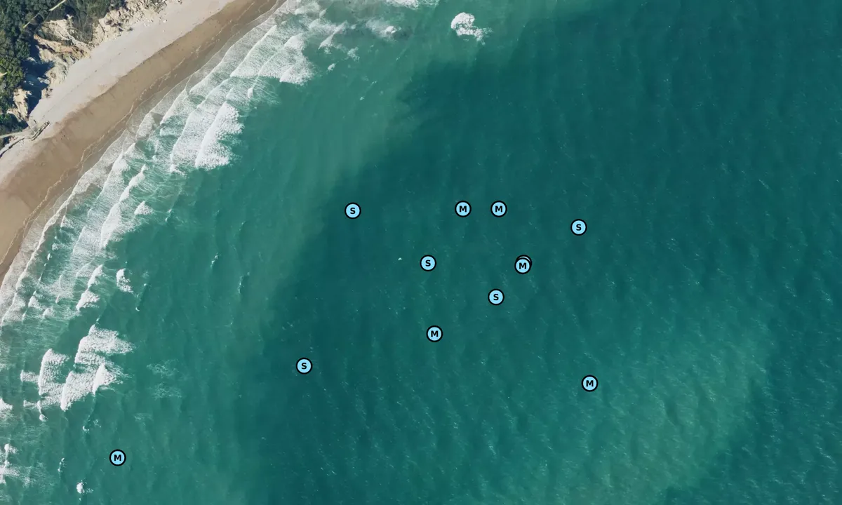 Satelite image of Whitecliff Bay