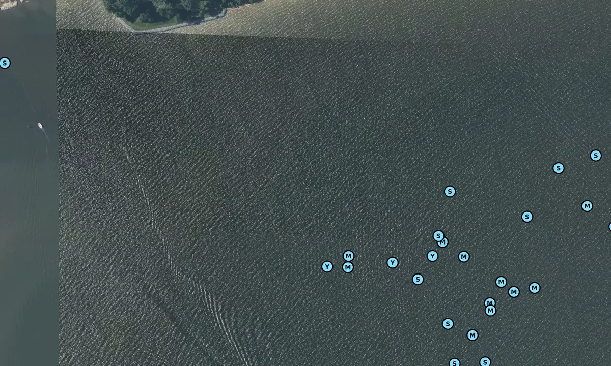 Satelite image of Whitehall Bay Northeast
