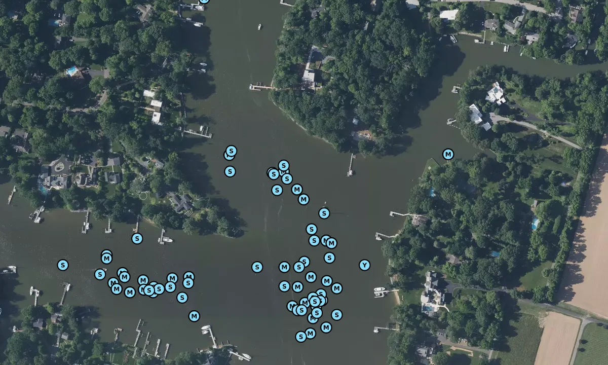 Satelite image of Whitehall Creek