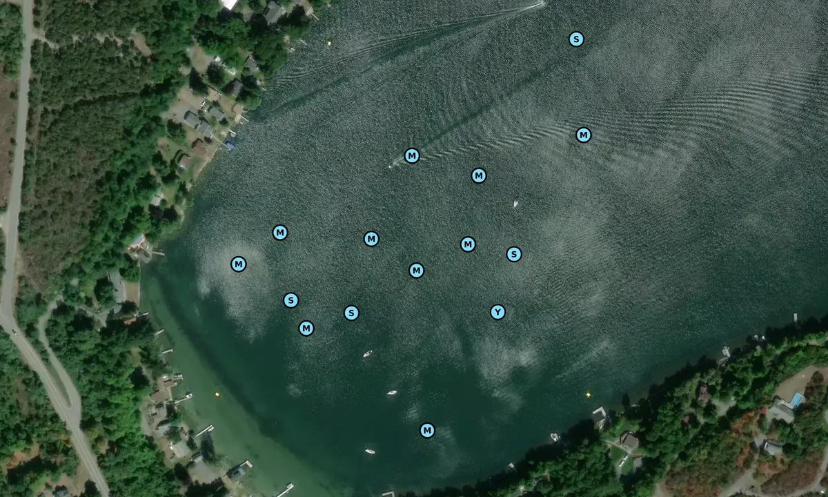 Satelite image of Whites Bay