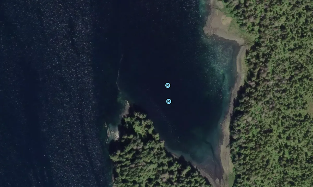 Satelite image of Whitestone Cove