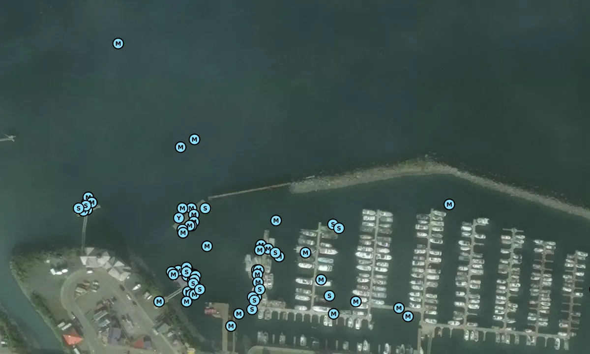 Satelite image of Whittier Small Boat Harbor